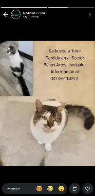 TOM