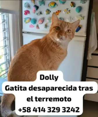 Dolly