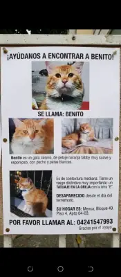 Benito