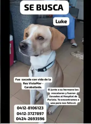 Foto de Luke, reunida con su familia