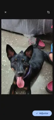 Kira