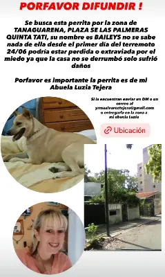 Beylis — foto 1