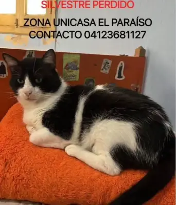 Silvestre