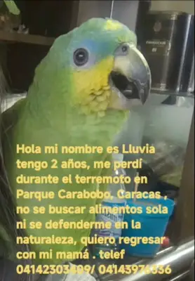 Lluvia