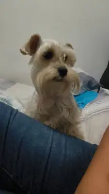 Lía — foto 5
