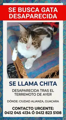 CHITA