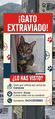 Gussy