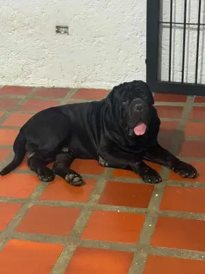 Ragnar Javier — foto 2