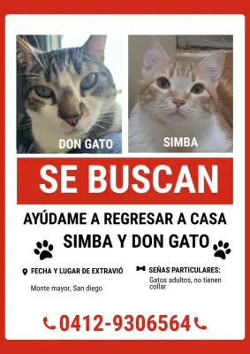 Simba y Don Gato