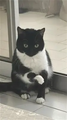 Walter