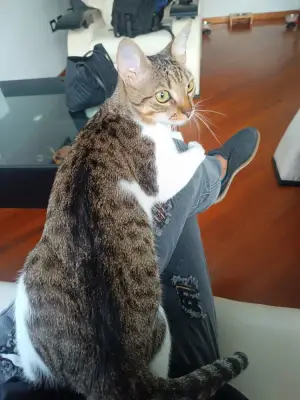Ruby