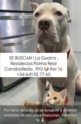 Riu y kai