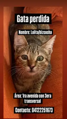 Bizcochita