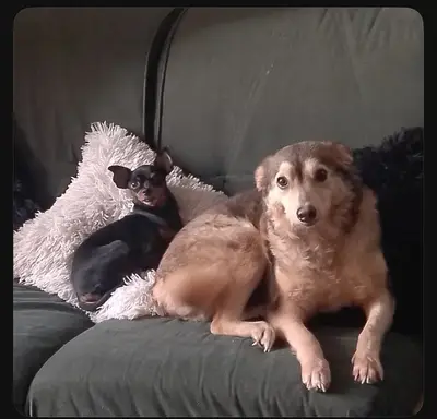Ruzan y nuki