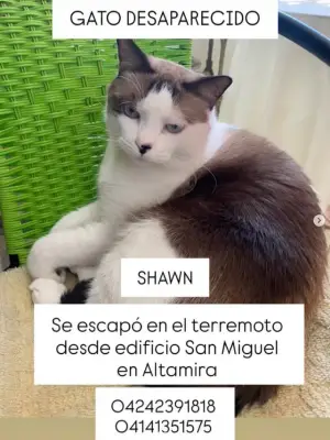SHAWN