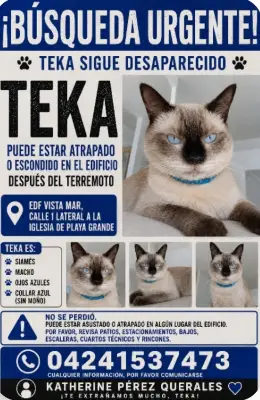 Teka