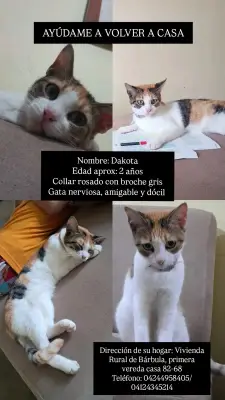 Dakota
