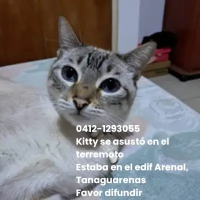 Kitty, reunida con su familia — foto 2