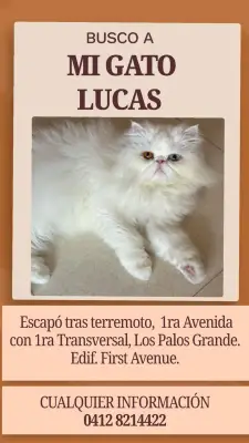 Lucas