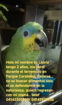 LLUVIA