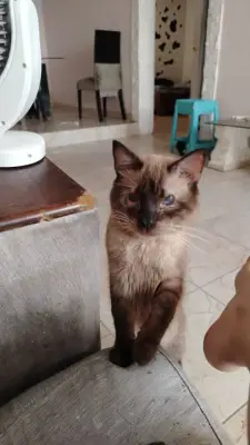 Luna