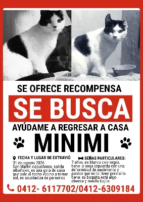 Minimi