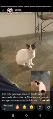 Mimi