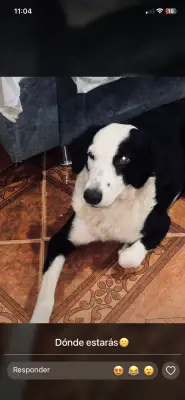 Estrella
