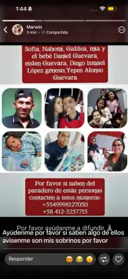 Perro perdido