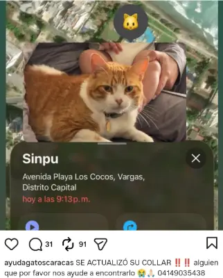 Sinpu