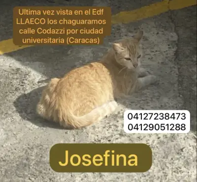 Foto de Josefina, reunida con su familia