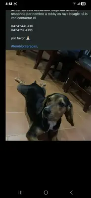 Tobby