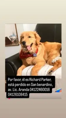 Richard parker