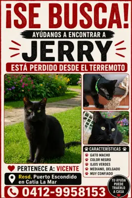 Jerry