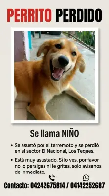 Niño