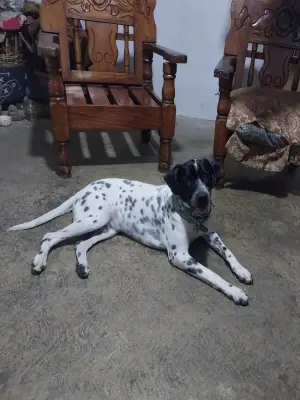 Coco