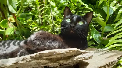 Matilda