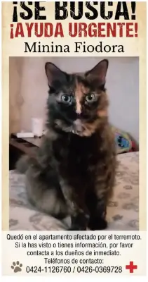 Fiodora