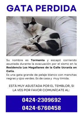 TORMENTA