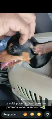Mia