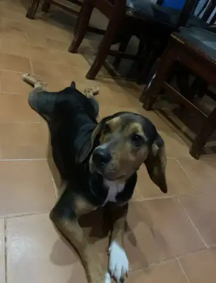 Tobby