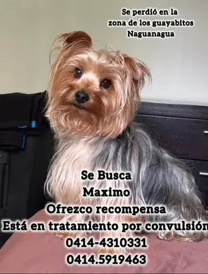 Foto de Maximo, reunida con su familia