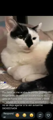 Vaki