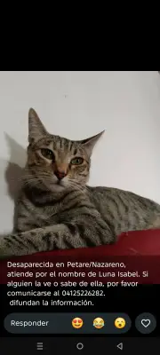 Luna Isabel