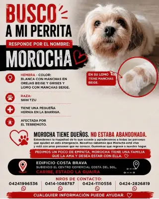 Morocha