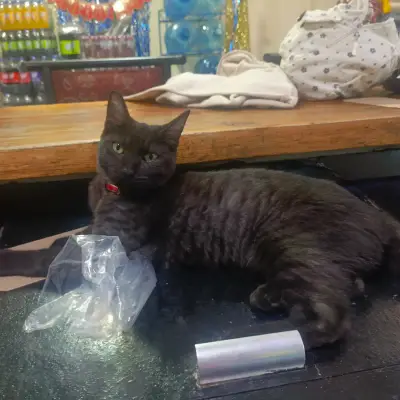 Julieta