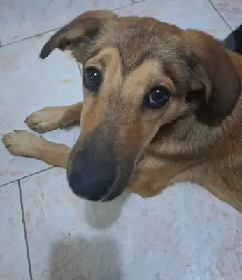 Cloe