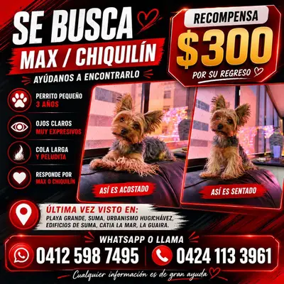 Max (chiquilin) — foto 3