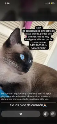 KIRA - KYRA