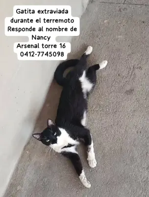 Nancy